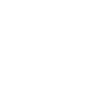 mylodon-records-web