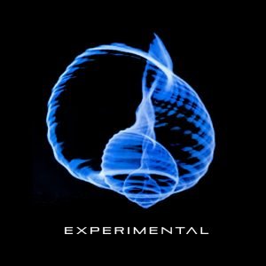 Experimental - Homónimo
